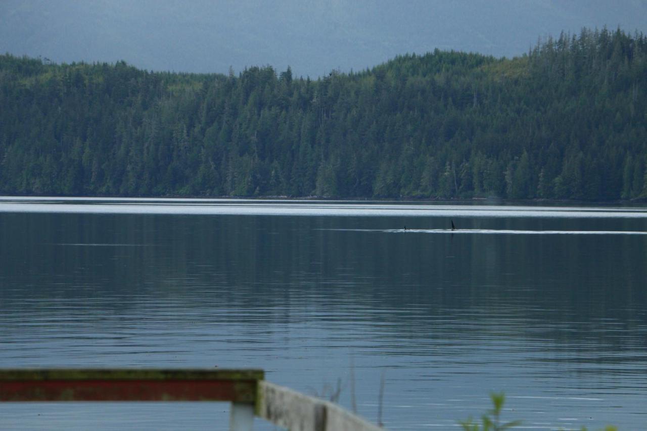 Nimpkish Inn 2*